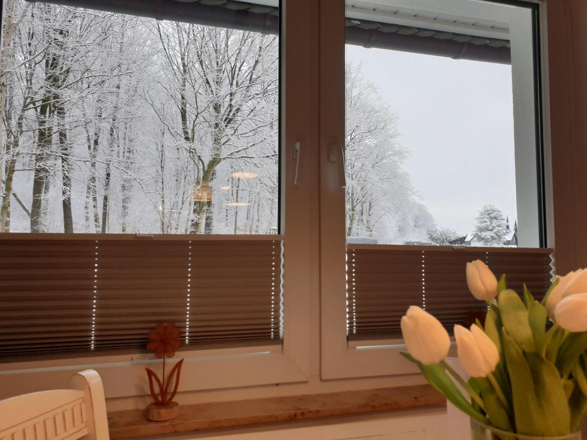 Fewo Winter In Der Villa Waldrand Mit Zwei Balkonen Bad Wünnenberg Εξωτερικό φωτογραφία